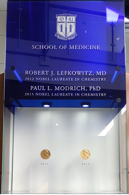 Nobel display case