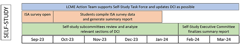 Steps of LCME Self Study as a chart