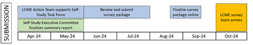 Steps of the LCME Submission as a chart