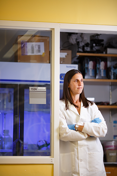 Kate Meyer, PhD