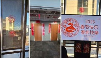 Lunar New Year 2025 decorations
