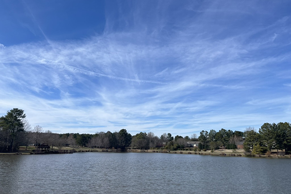 a lake and treeline on the far shore