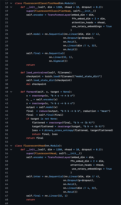 Screenshot of Raygun Code