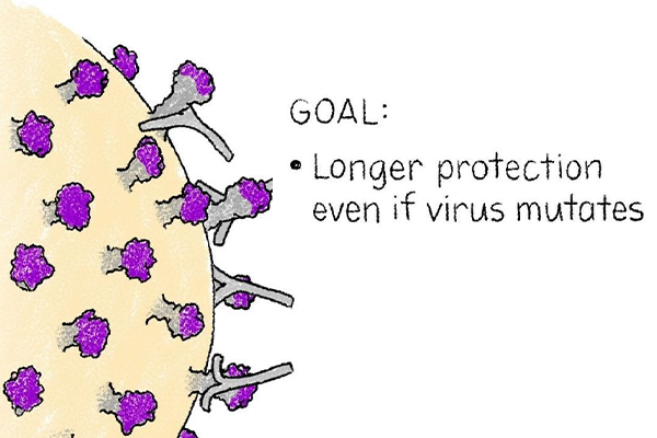 illustration of a virus - Goal: longer protection even if virus mutates