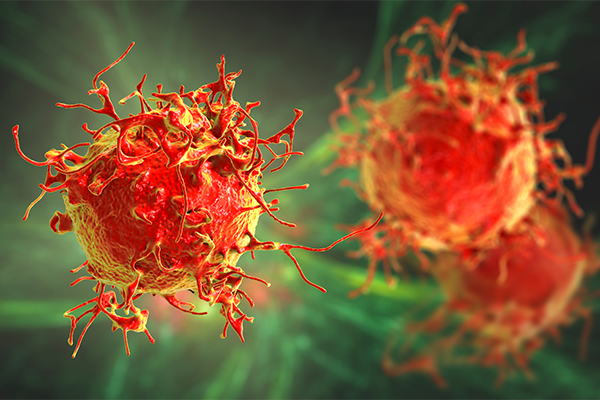 Melanoma cells