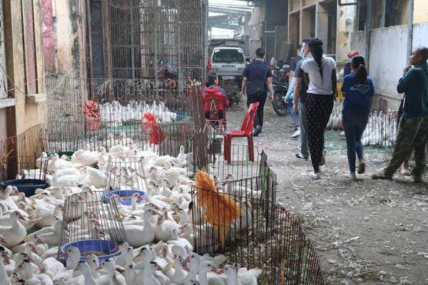 crowded street in Vietnam with people and birds in cages