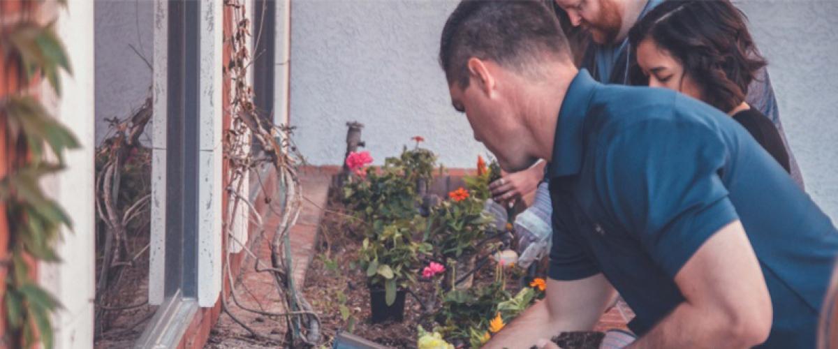 Students working in a window garden