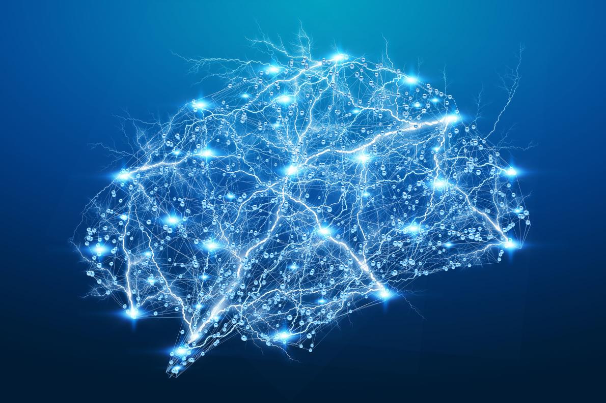 Illustration of the brain