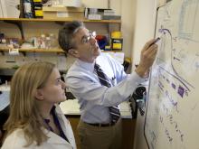 Dr. Lefkowitz at a white board